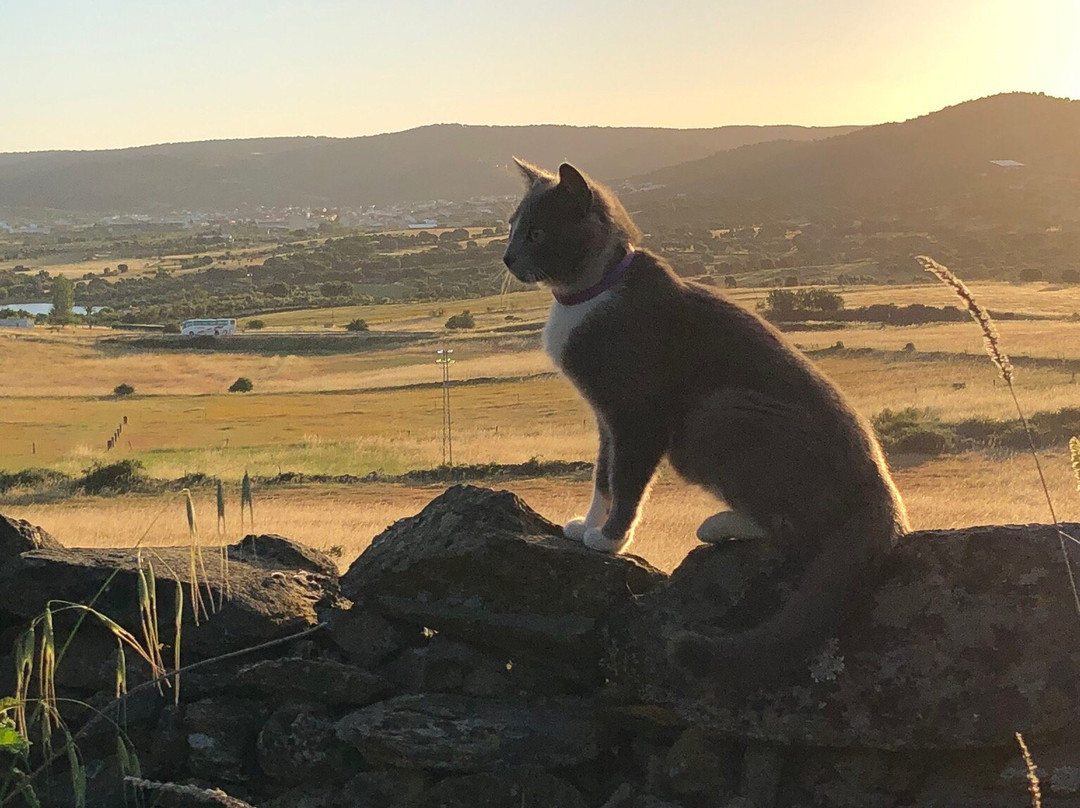 Casa Rural El Recuerdo主图