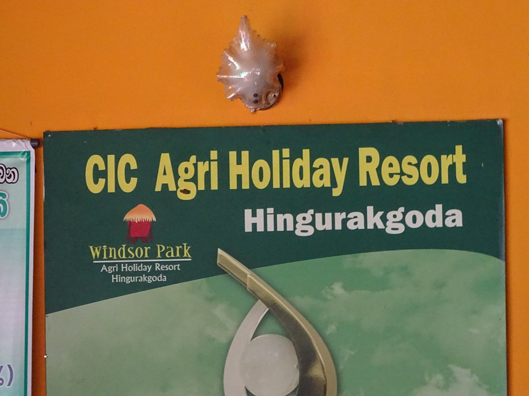 CIC Agri Resort - Windsor Park主图