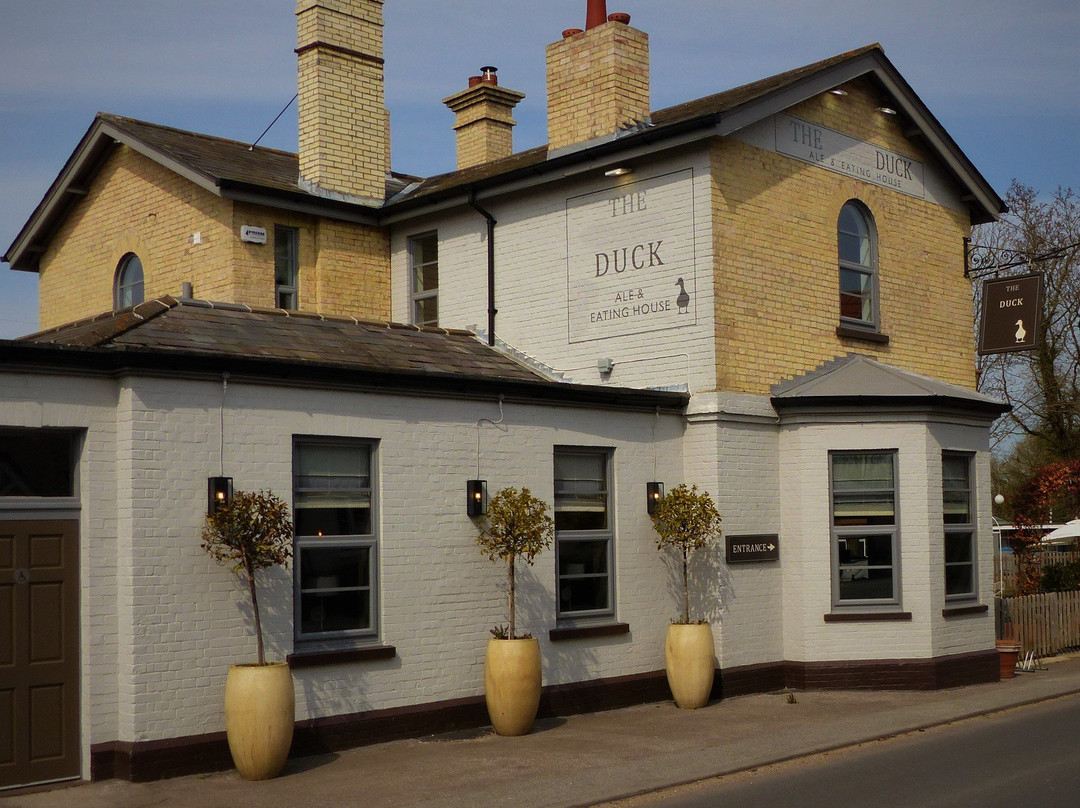 Tunstall餐馆和美食-The Duck