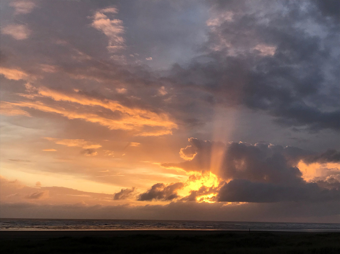 Moonstone Beach Motel主图