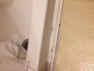 The Woodbound Inn主图