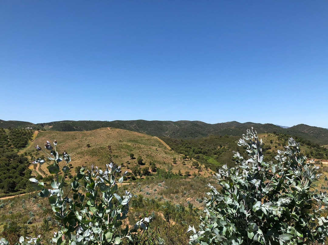 Hugo's Quad Bike Adventure-Sao Bartolomeu de Messines必去景点