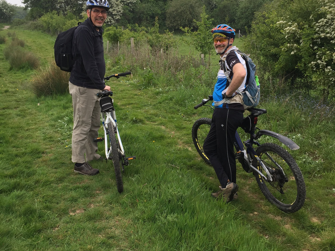 Experience Sussex主图