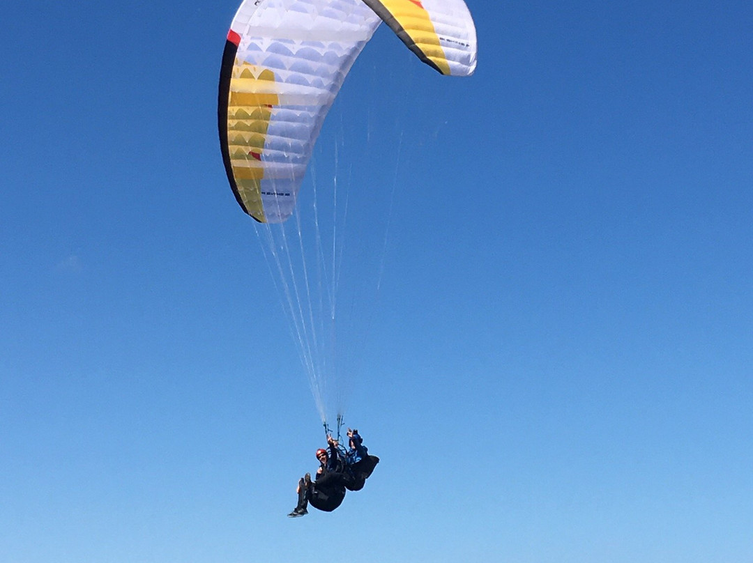 Tandem Paragliding Bergen景点图片
