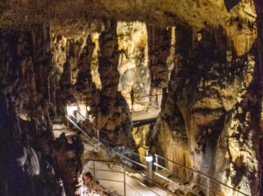 Biserujka Cave景点图片
