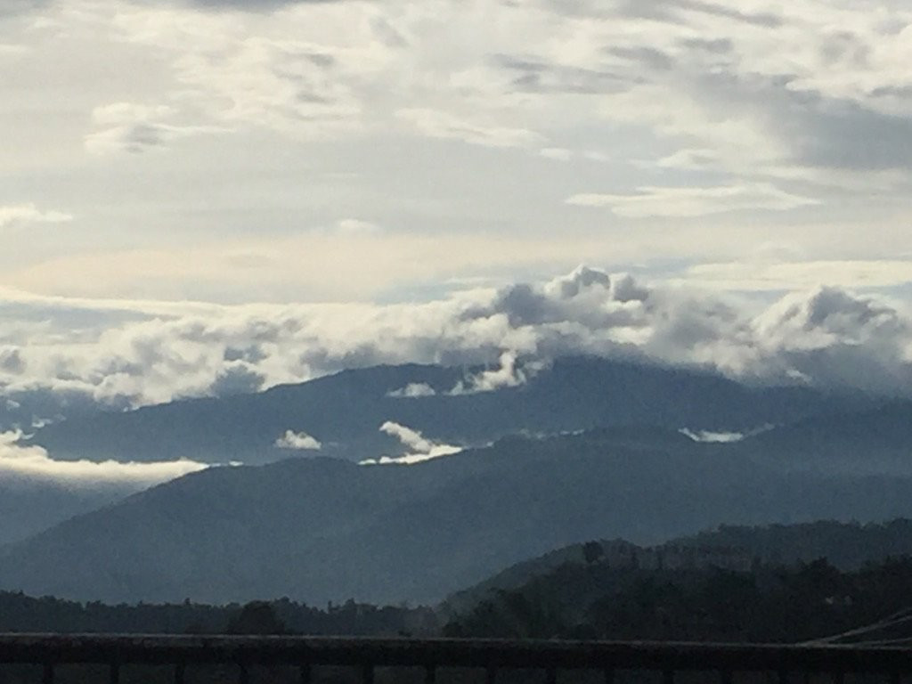 Hotel Vivor Kohima主图