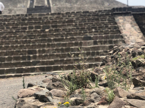 Stylewalk MX-墨西哥城必去景点