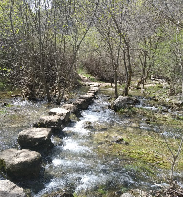 Parque Natural del Barranco del Rio Dulce景点图片