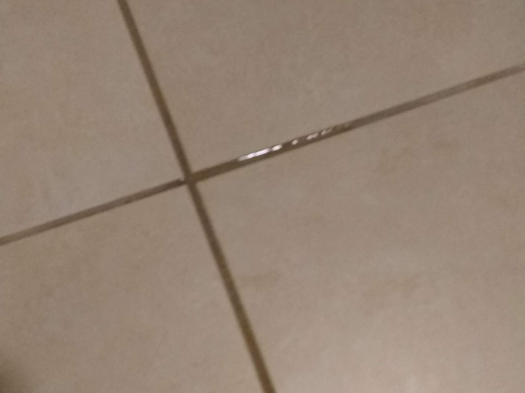 Pittsburgh Airport Marriott主图