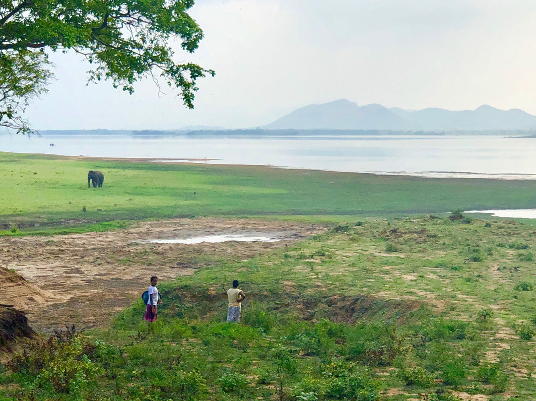 Unseen Ceylon Private Tours景点图片