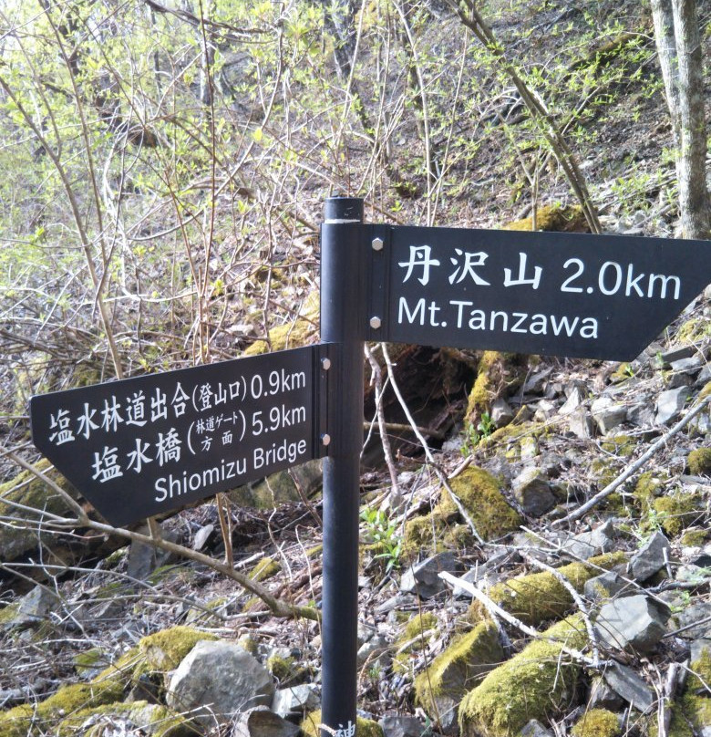 Mt. Tanzawa景点图片