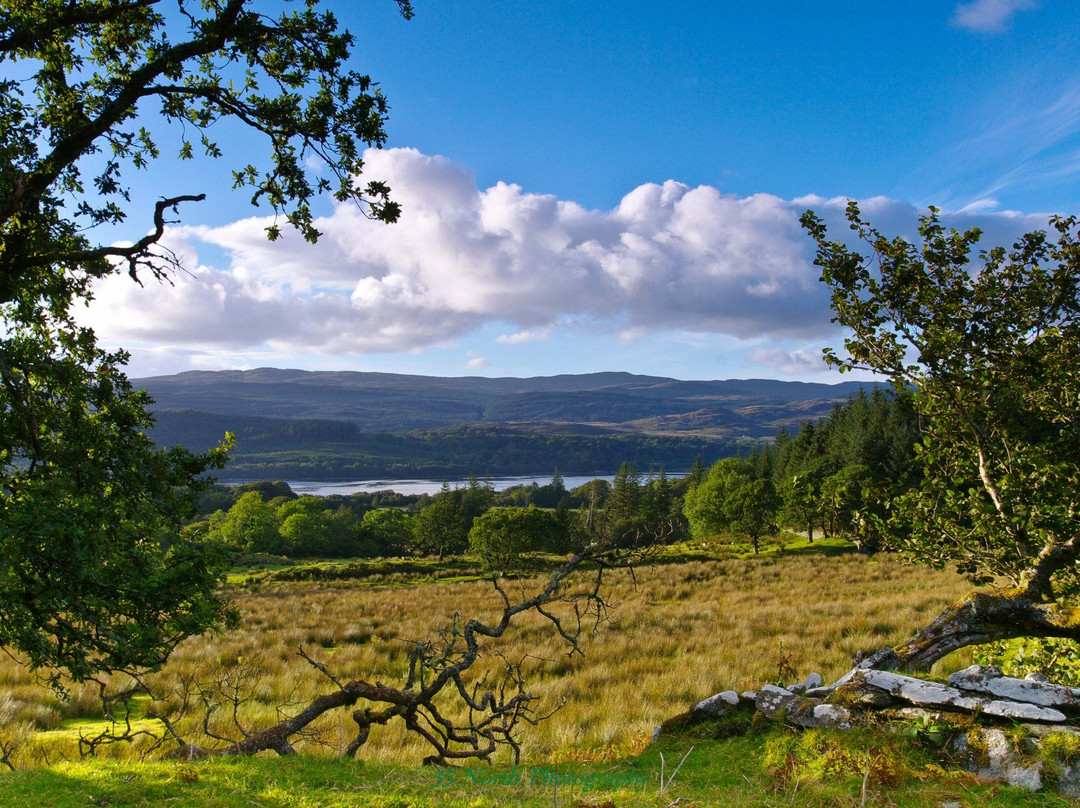 Kintyre Peninsula旅游攻略图片