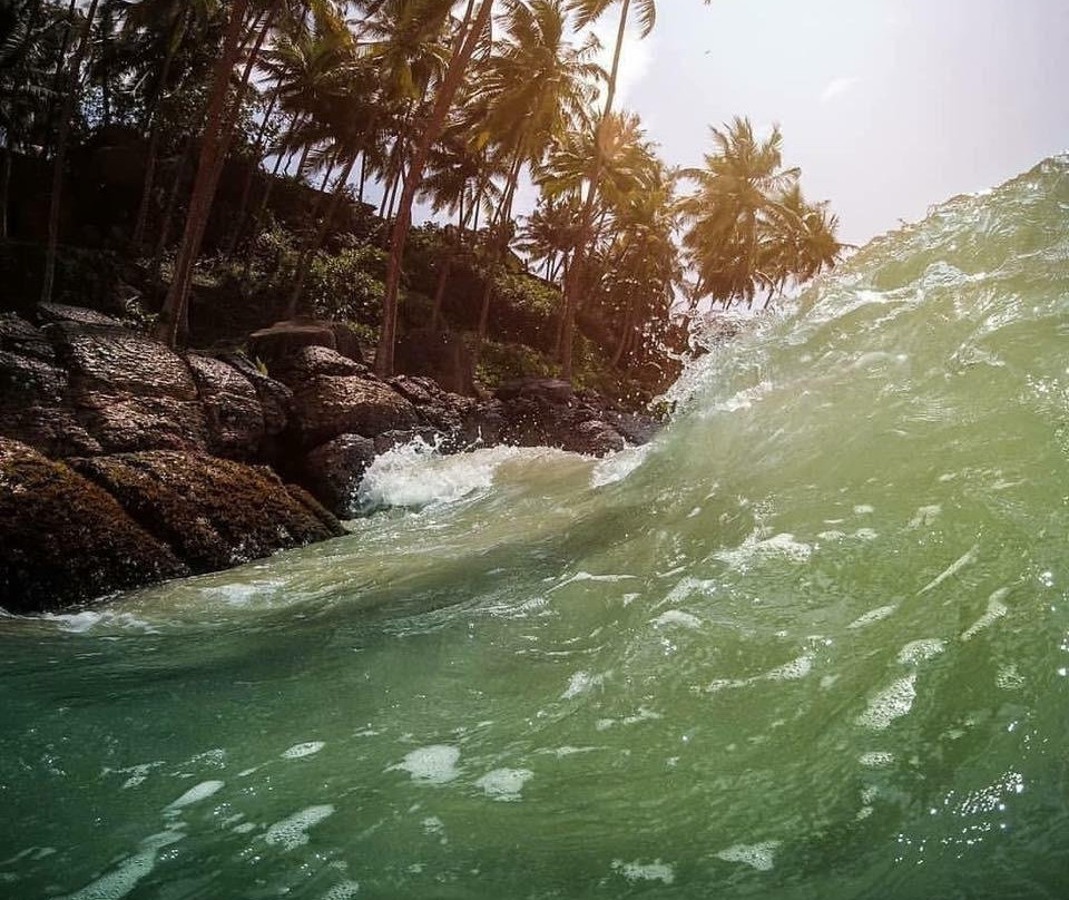 Thambapanni Travel Company-锡吉里亚必去景点