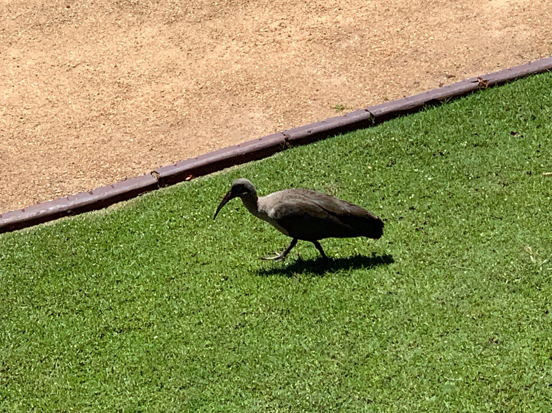 Robin's Nest Guest House主图