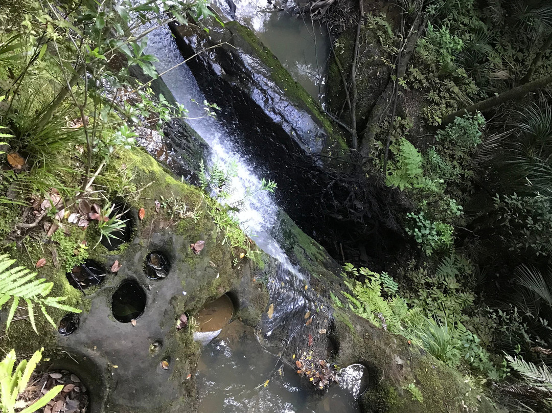 Pohuehue Waterfalls-瓦卡沃夫必去景点