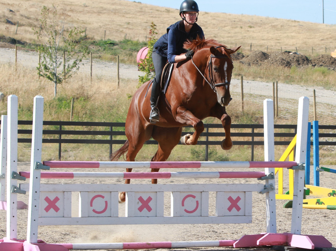 Bridlewood Riding Centre景点图片