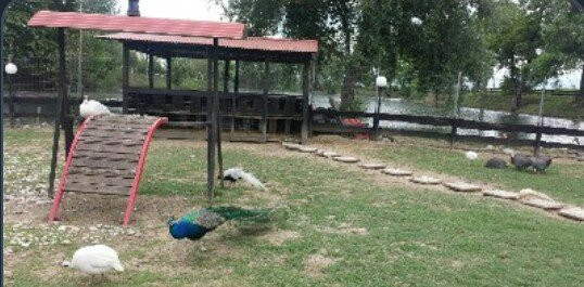 Límni Nkitzí-Trikala必去景点