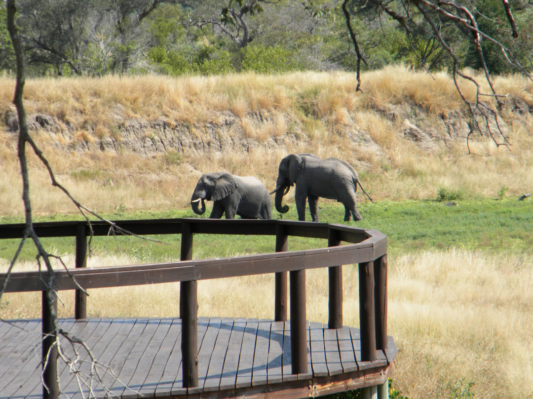 阿拉修萨野生动物园酒店主图