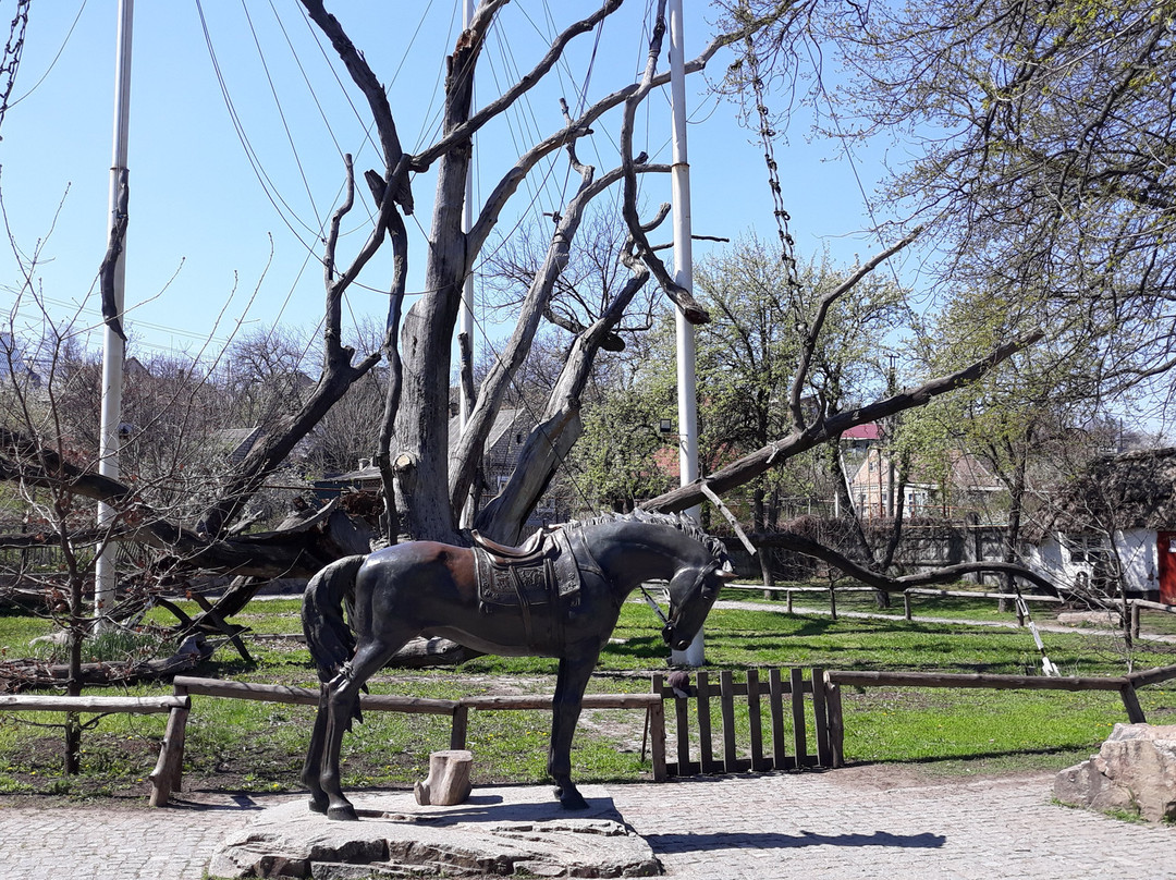 Zaporizhzhya Oak Tree景点图片