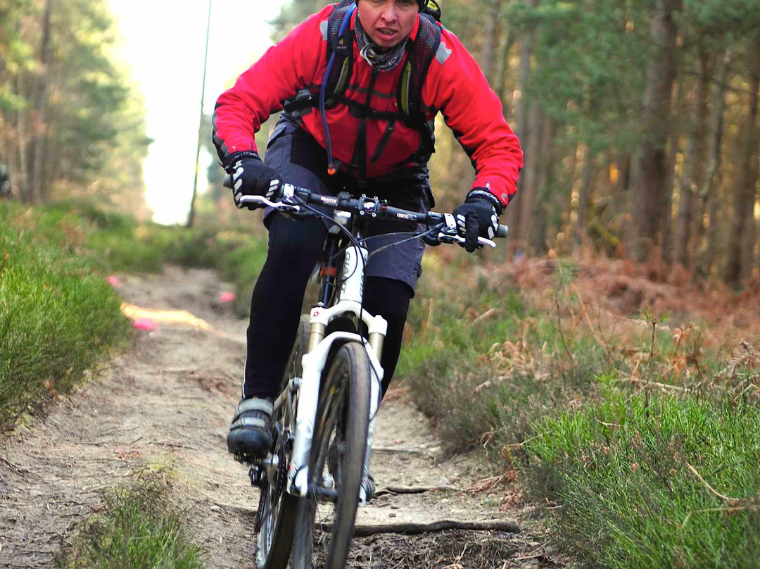 Singletrack School-多肯必去景点