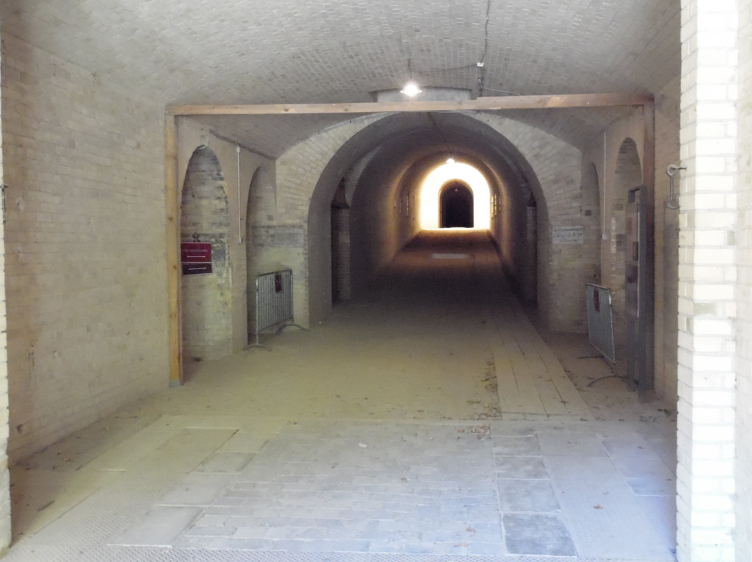 Fort Hahneberg景点图片