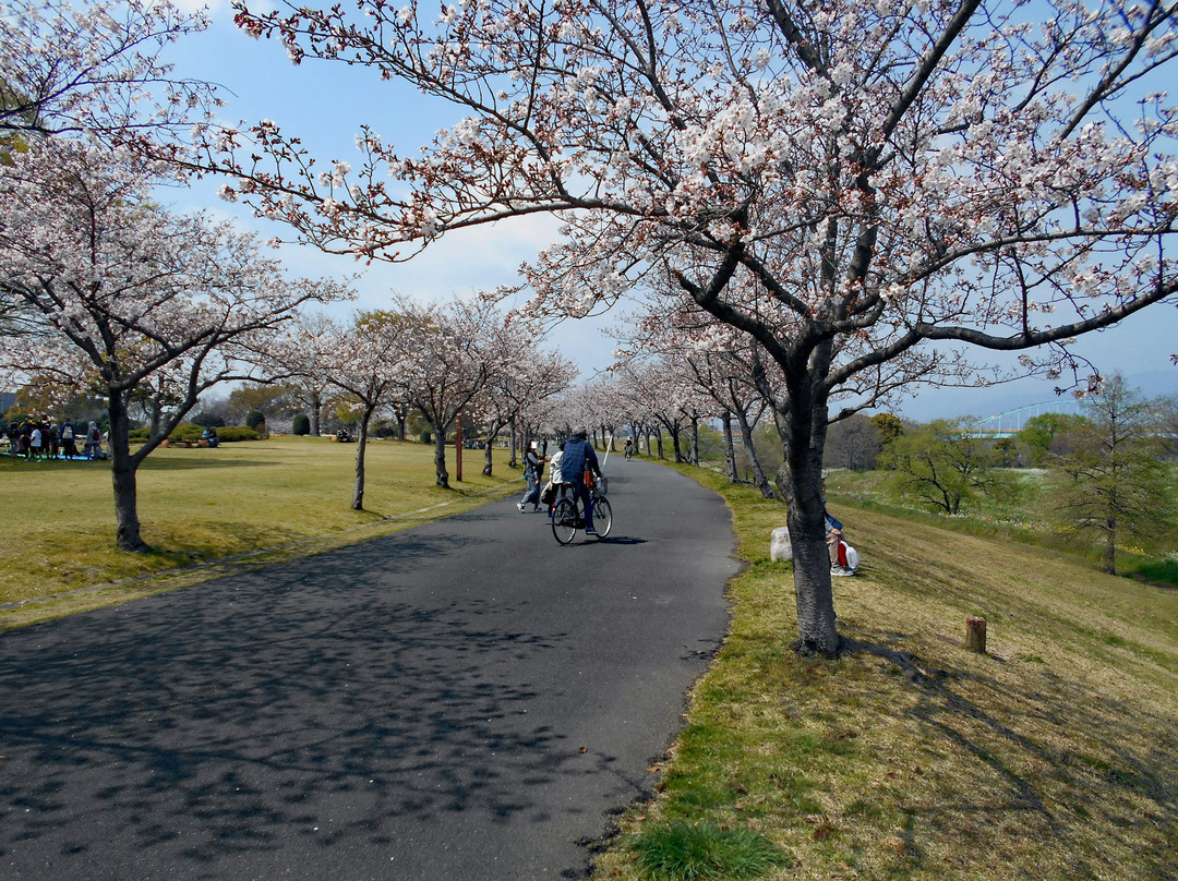 Kurume Hyakunen Park景点图片