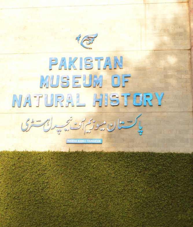 Pakistan Museum of Natural History-伊斯兰堡必去景点