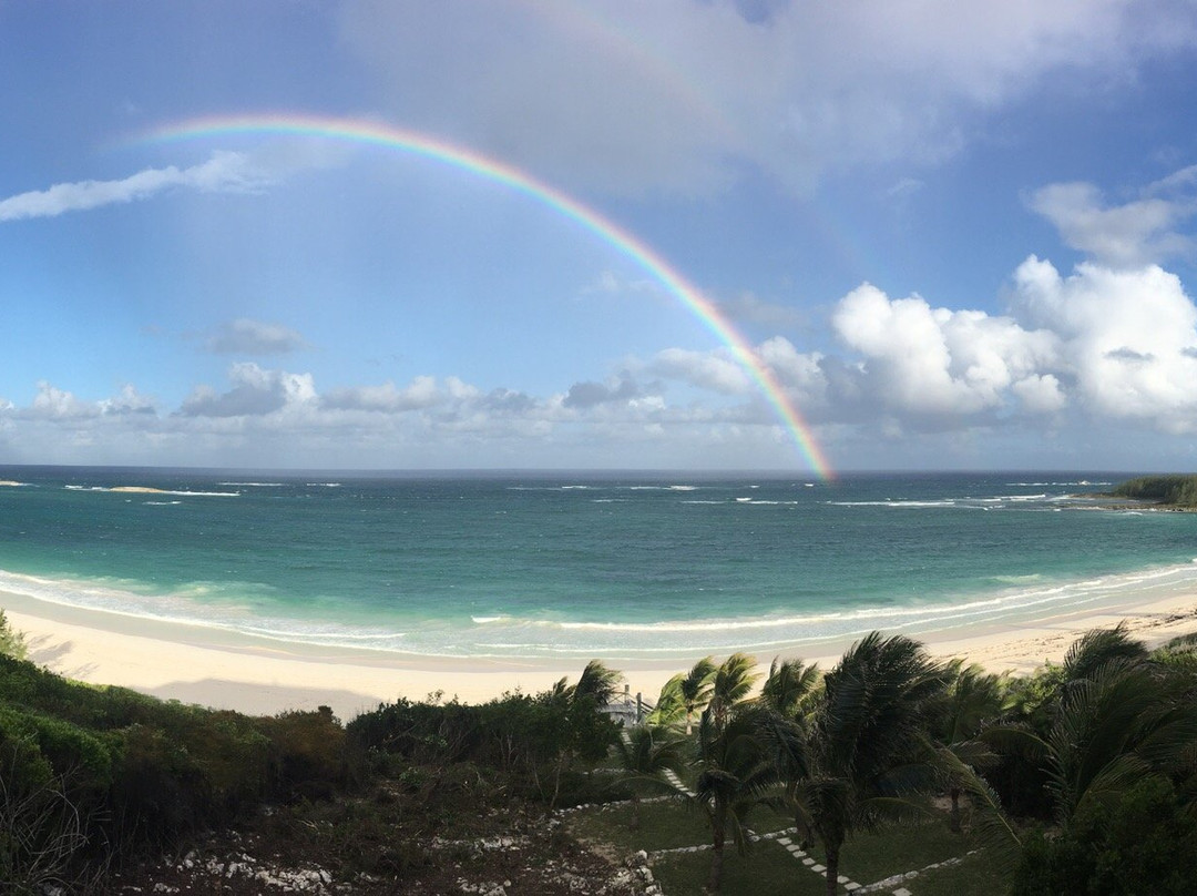 The Delphi Club主图