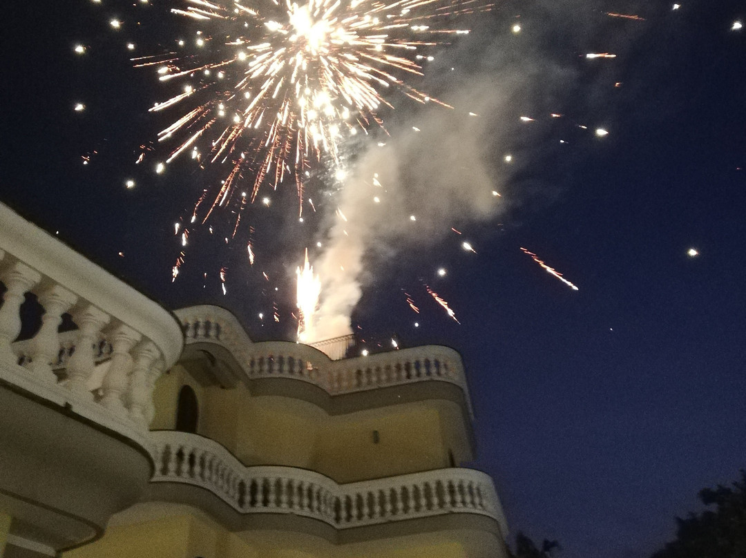 乐莎佳雷大酒店主图