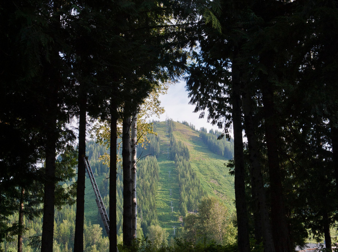 Ram's Head Inn主图