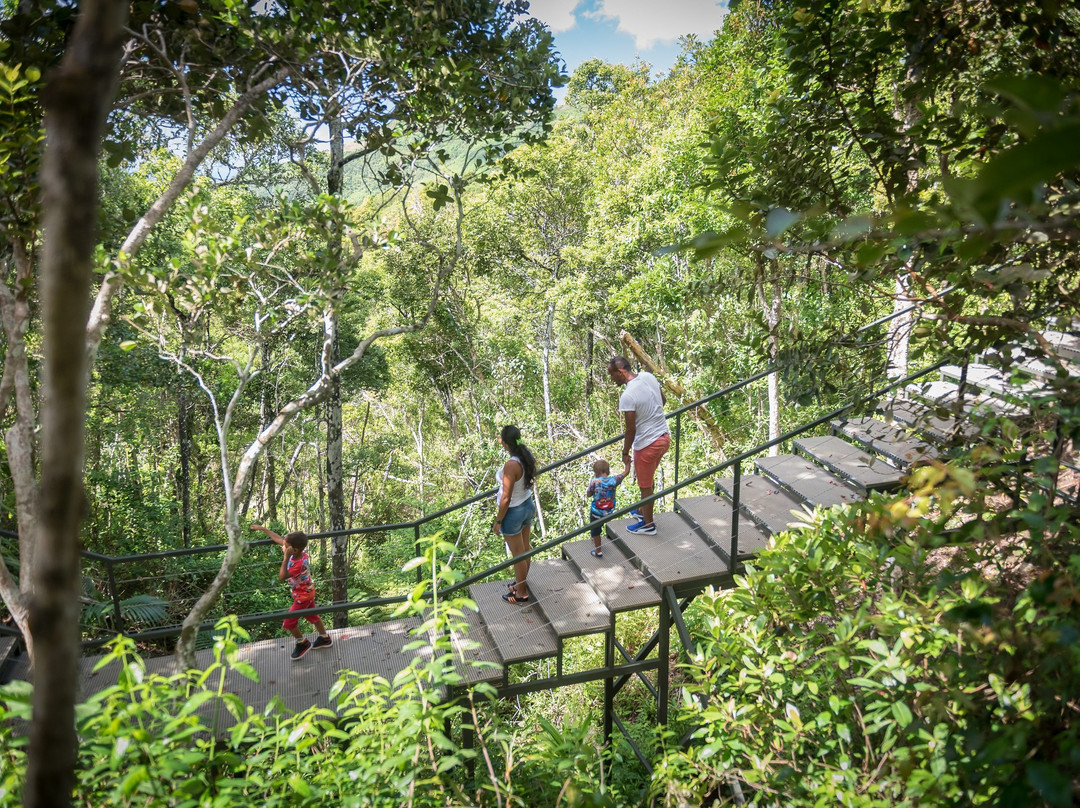Ebony Forest Reserve