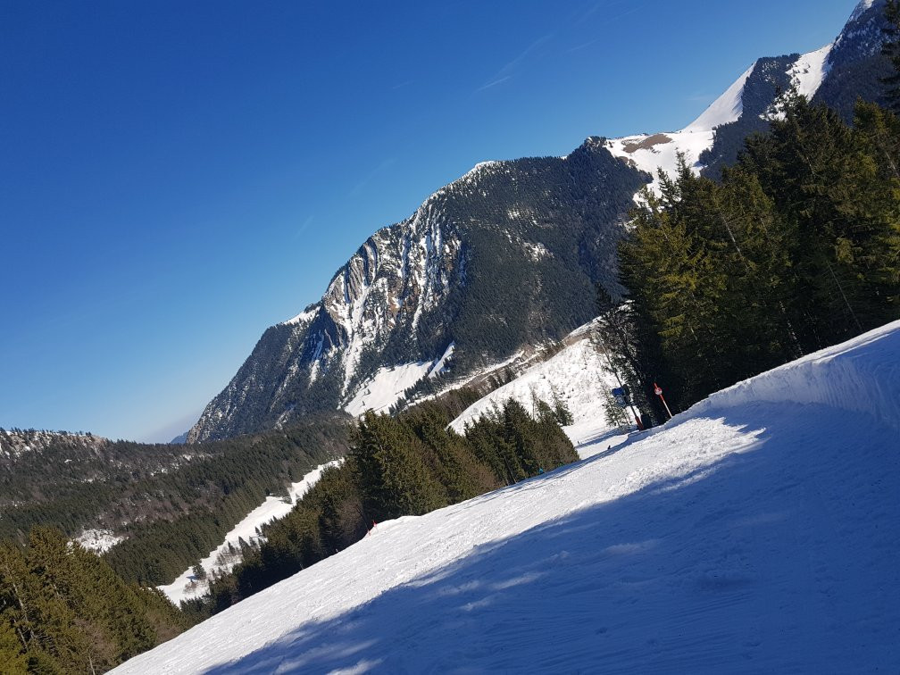 Ski Area - Alpenbahnen Spitzingsee景点图片