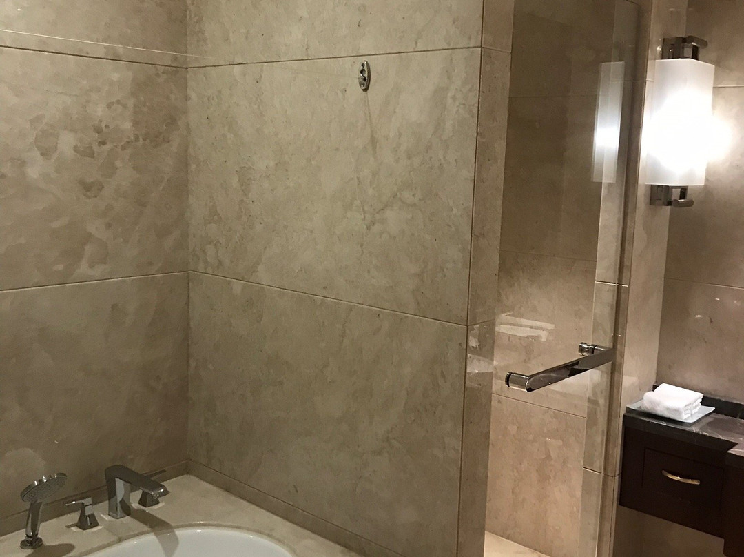 顺辉铂晶巴登酒店主图