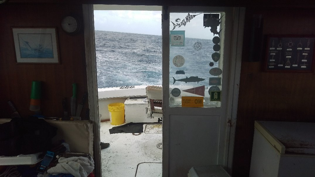 Mahi Mahi Fishing Charters Aruba-奥腊涅斯塔德必去景点