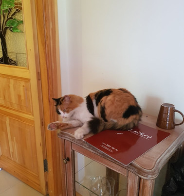 Asiklar Butik Otel主图