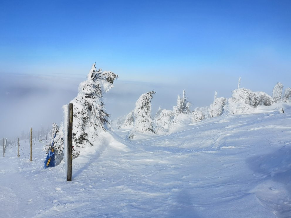 SKI ARENA SZRENICA景点图片