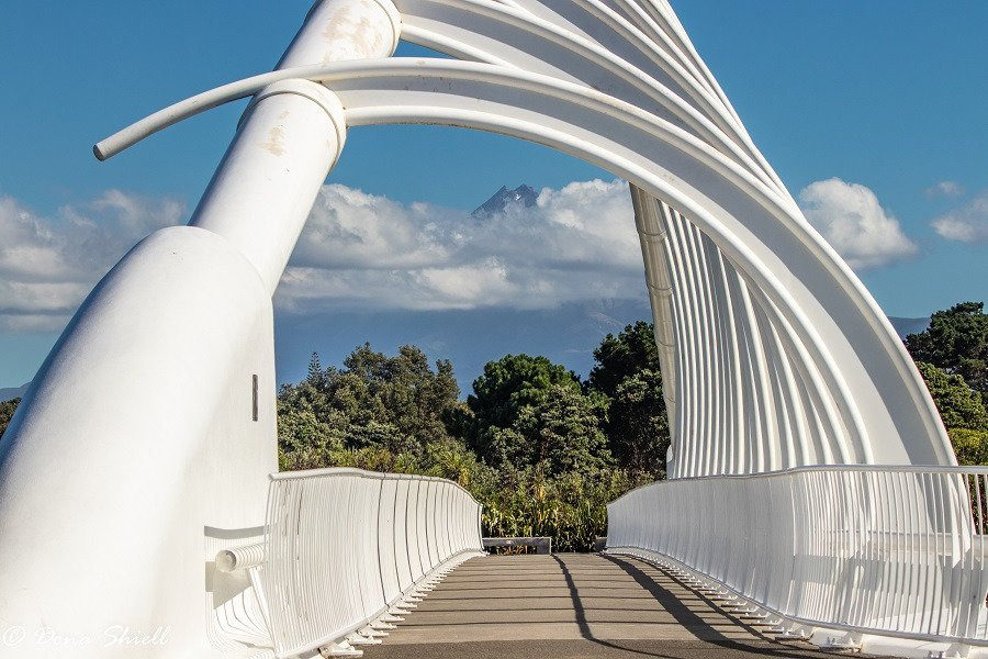 Te Rewa Rewa Bridge景点图片