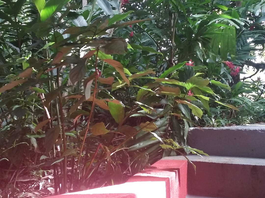 Bay View Eco Resort主图