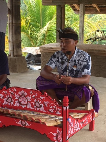 Wayan Putra Guide Francophone-乌布必去景点