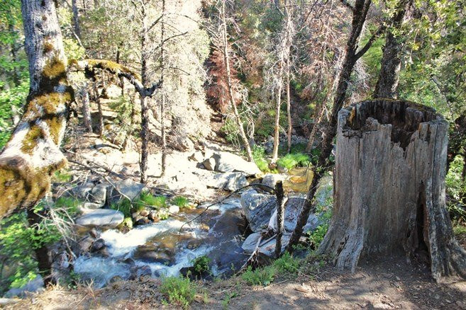 Lewis Creek Trail-奥克赫斯特必去景点