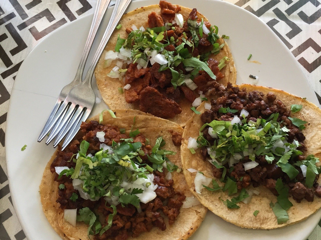 Travelling Herbivore-墨西哥城必去景点