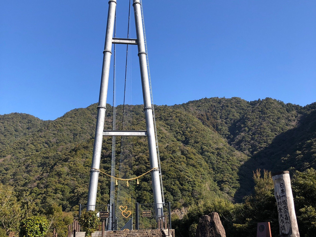 Aya Suspension Bridge景点图片