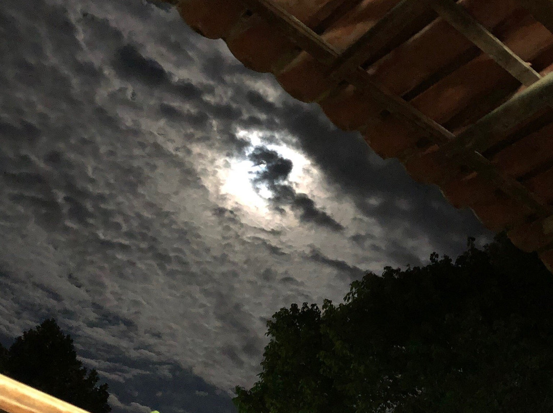 Pousada Das Arvores主图