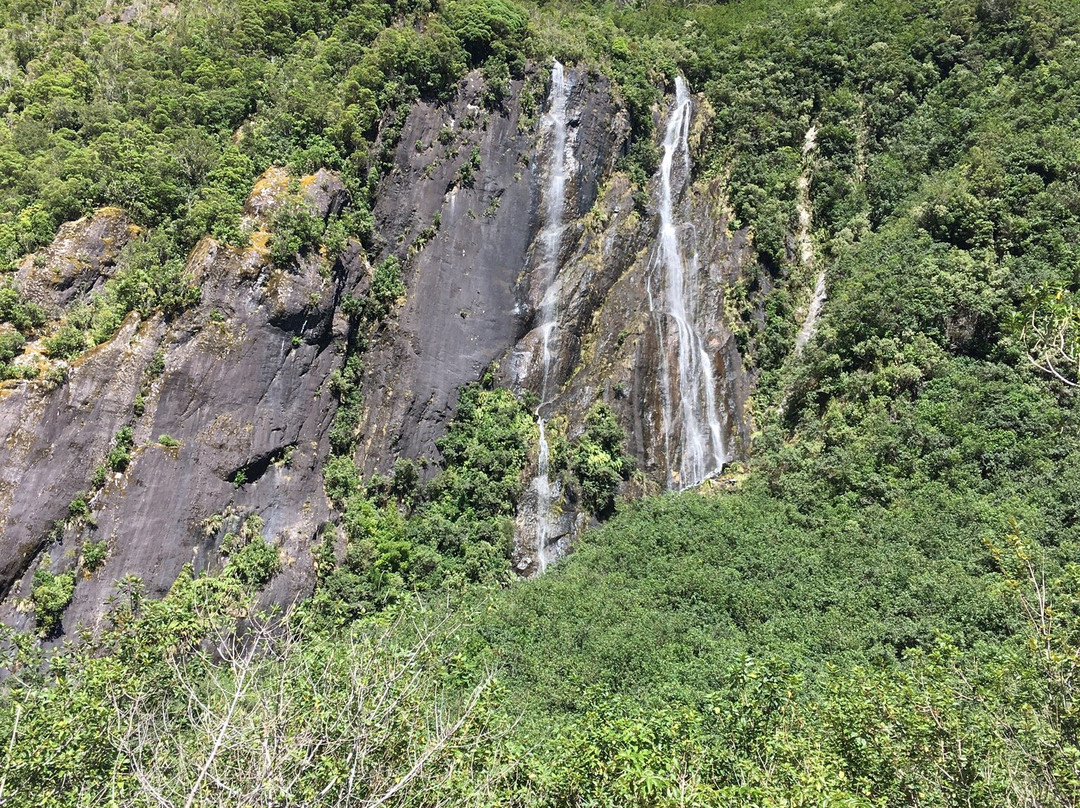 Franz Josef Alpine Lodge主图