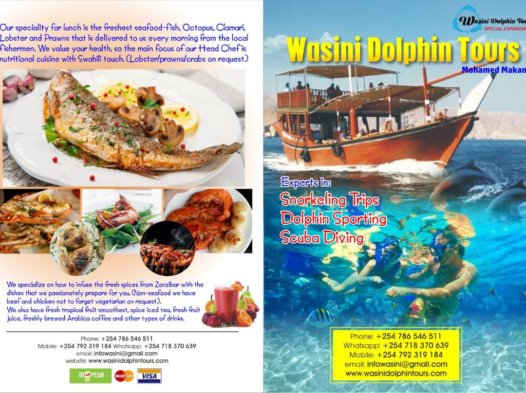 Wasini Dolphin Tour景点图片