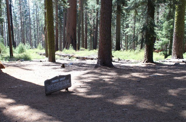 The Parker Group-红杉&国王峡谷国家公园必去景点