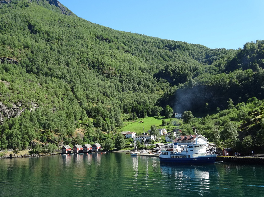 Norwegian Fjord Voyage AS-Gudvangen必去景点