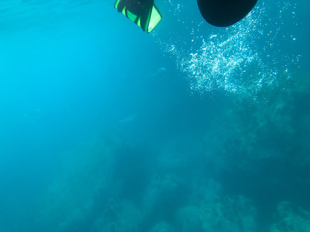 Marenostrum Expediciones-Isla Robinson Crusoe必去景点