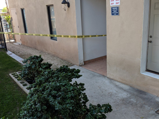 Ivy Palm Resort主图