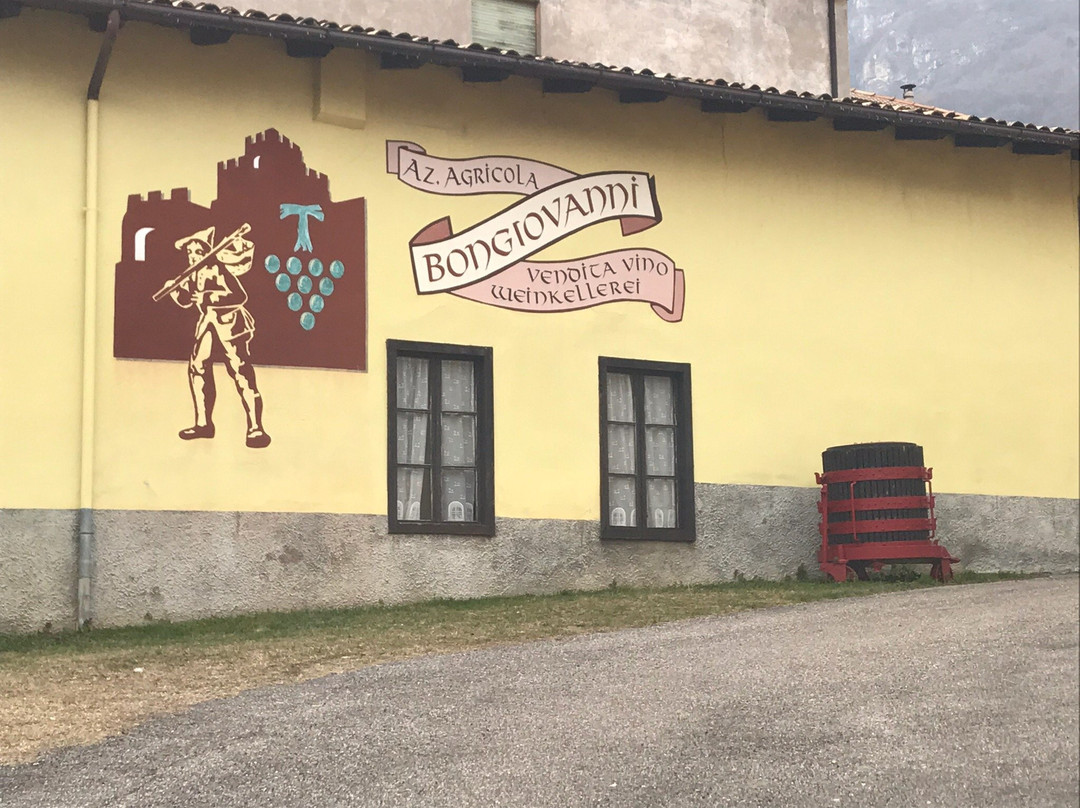 Azienda Agricola Bongiovanni景点图片